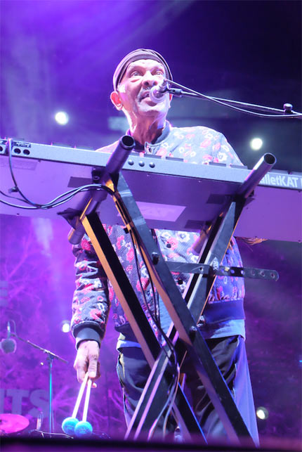 Roy Ayers, Marseille, 2017 © Ellen Bertet Roy Ayers, Marseille, 2017 © Ellen Bertet