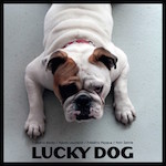 2013. Lucky Dog, Fresh Sound New Talent 