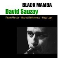 2002. David Sauzay, Black Mamba, Autoproduit