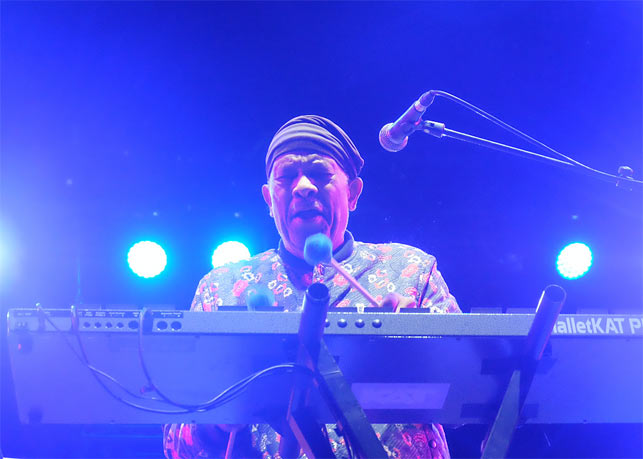 Roy Ayers, Marseille, 2017 © Ellen Bertet
