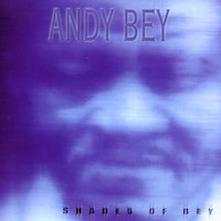 1998. Andy Bey, Shades of Bey, Evidence